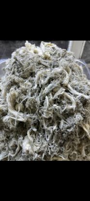 Göğermiş Yeşil Çeçil (1 Kg) resmi